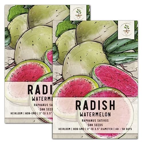 Best Watermelon Radish Seeds - Latest Guide