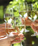 Madera Wine Trail