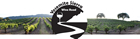 Madera Wine Trail
